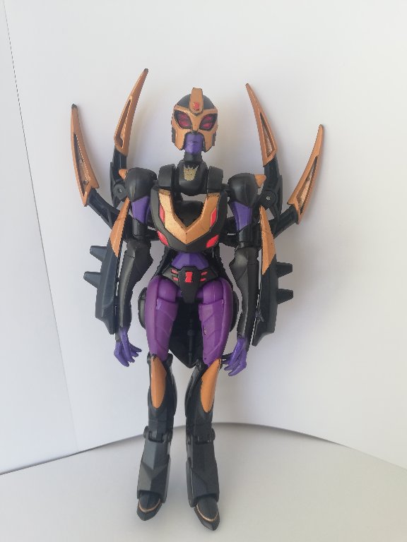 Blackarachnia animated - Image 1