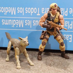 Dusty and Sandstorm 