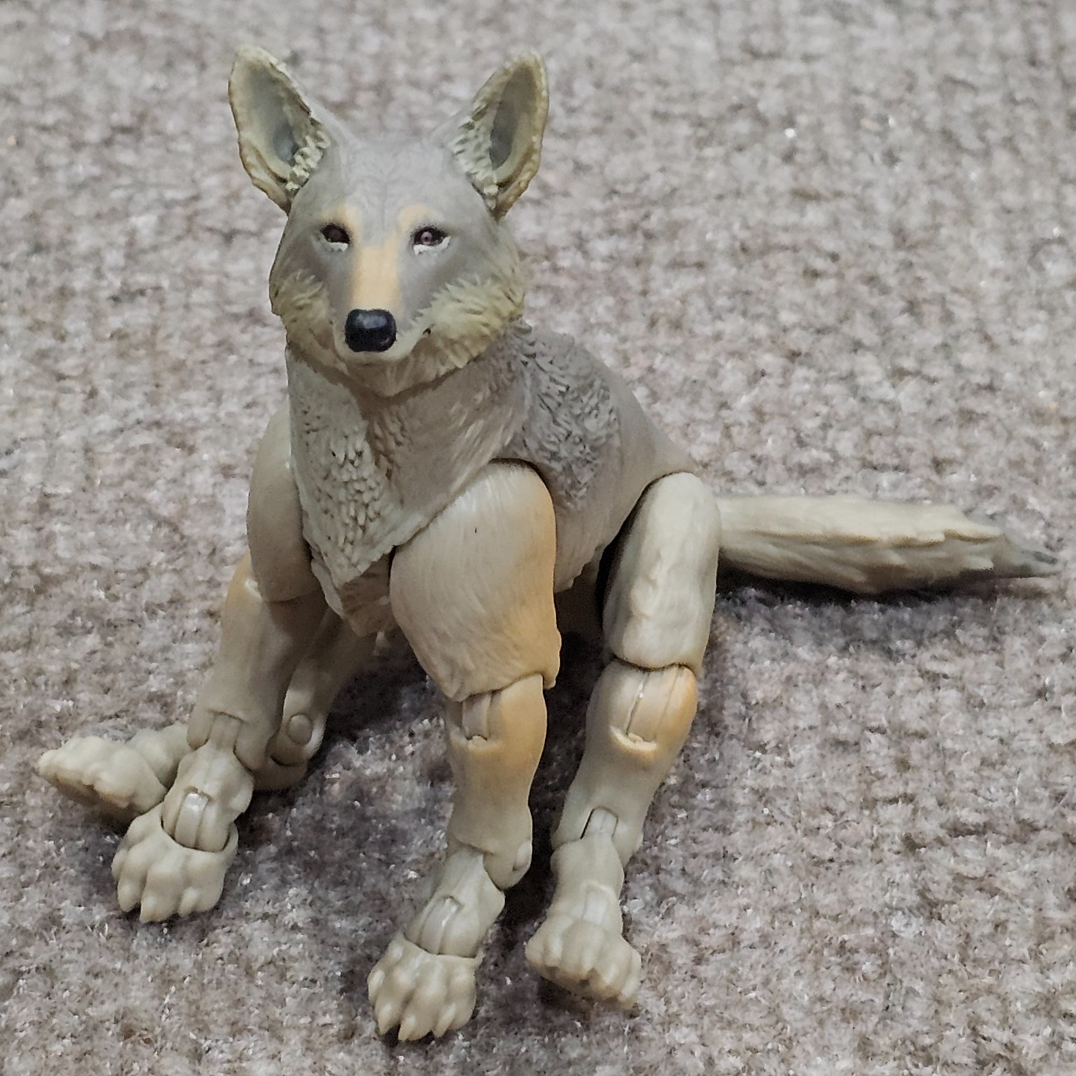 Dusty and Sandstorm  - Image 4