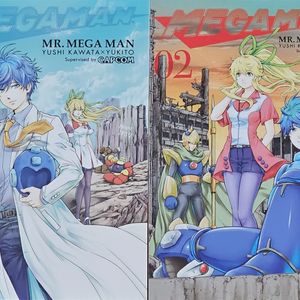 Mr. Megaman 