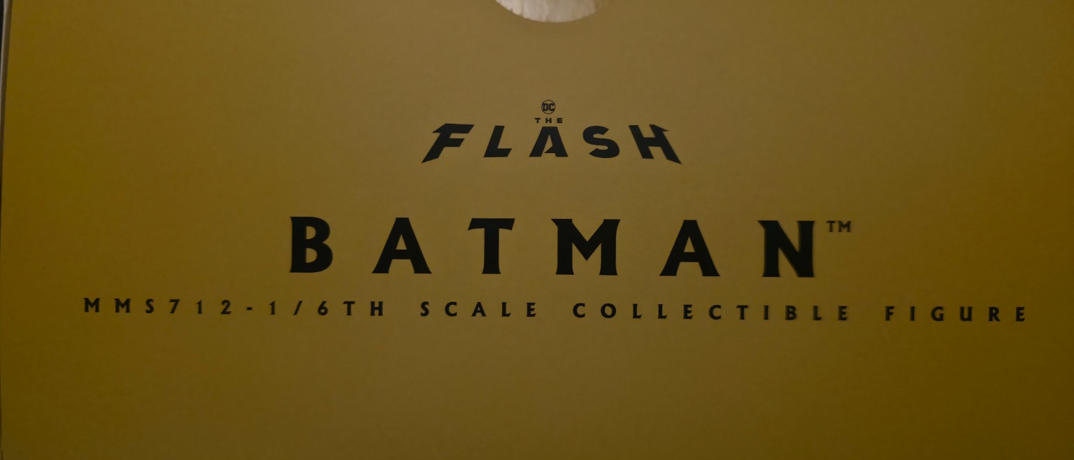 Hot Toys MMS712 The Flash – Batman (Modern Suit) 1:6th Scale Collectible Figure - Image 2