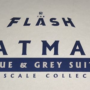 Hot Toys MMS834 The Flash Batman (Blue & Grey Suit) 1/6th Scale Collectible Figure 