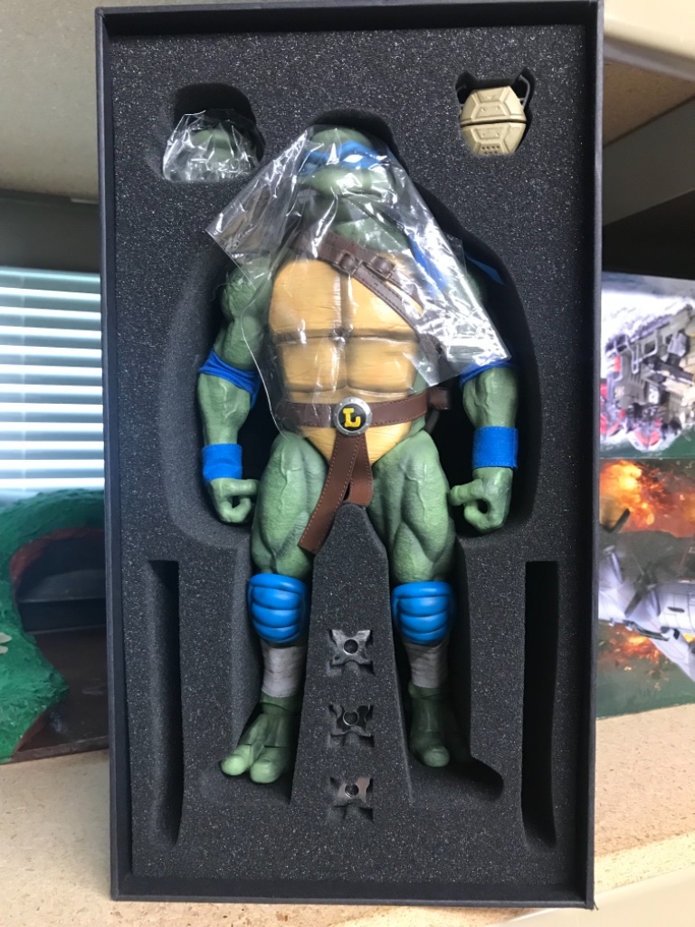Leonardo - Image 6