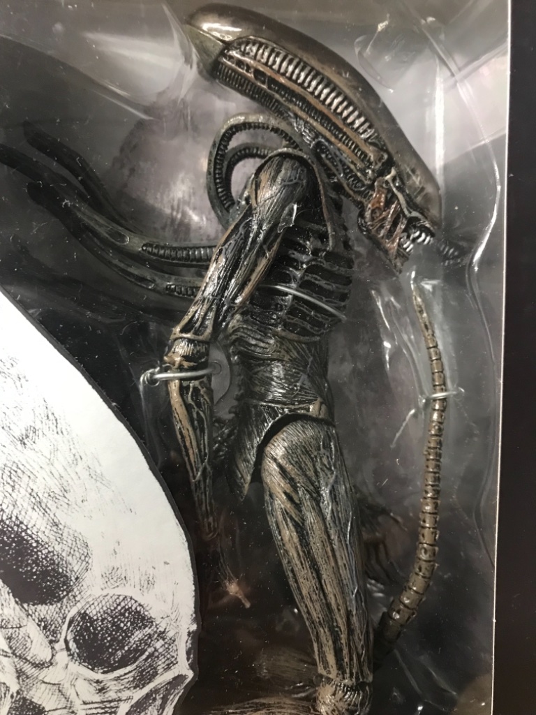 Xenomorph  - Image 7