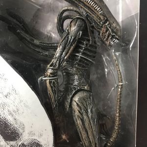 Xenomorph 