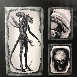 Xenomorph 