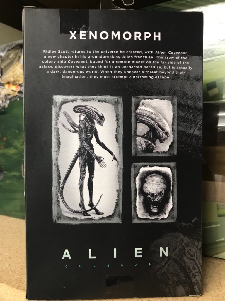 Xenomorph  - Image 4