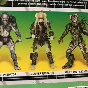 Stalker Predator
