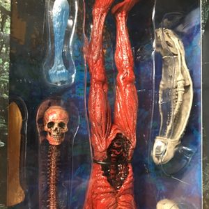Predator Accessory Pack