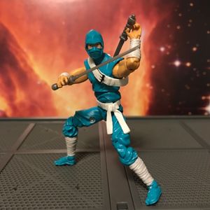 Ninja Viper