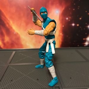Ninja Viper