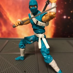 Ninja Viper