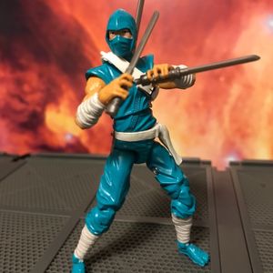 Ninja Viper