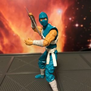 Ninja Viper