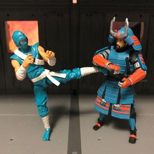International Action Force Budo