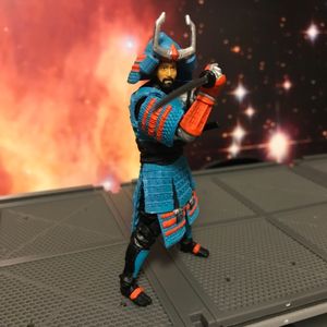 International Action Force Budo
