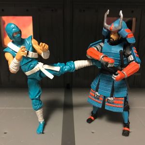 International Action Force Budo