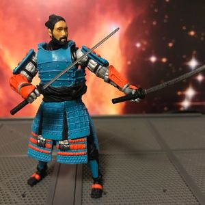 International Action Force Budo