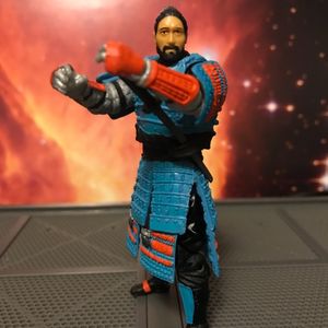 International Action Force Budo