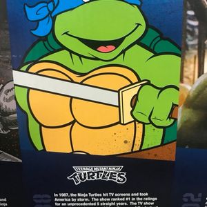 History of the TMNT feat. Leonardo