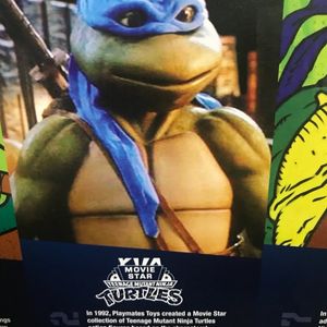 History of the TMNT feat. Leonardo