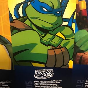History of the TMNT feat. Leonardo