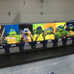 History of the TMNT feat. Leonardo