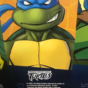 History of the TMNT feat. Leonardo