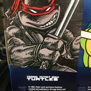 History of the TMNT feat. Leonardo