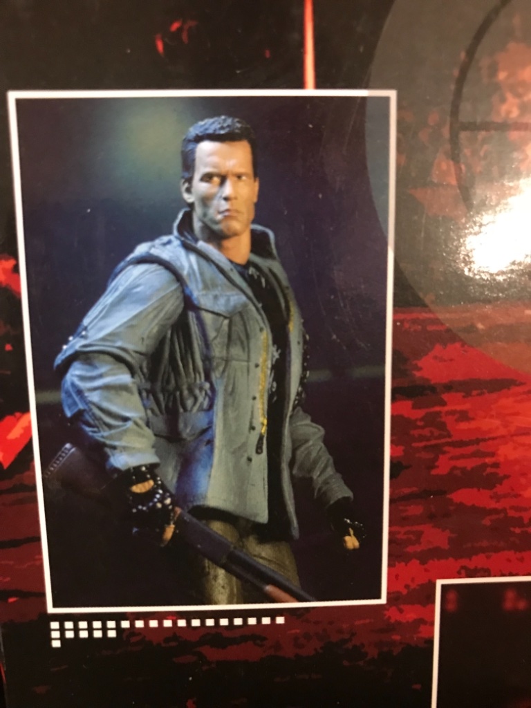 Schwarzenegger The Terminator - Image 16