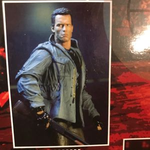 Schwarzenegger The Terminator