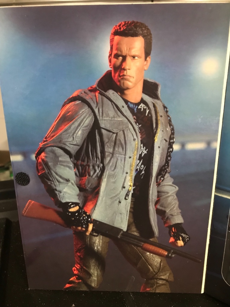Schwarzenegger The Terminator - Image 12