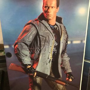 Schwarzenegger The Terminator