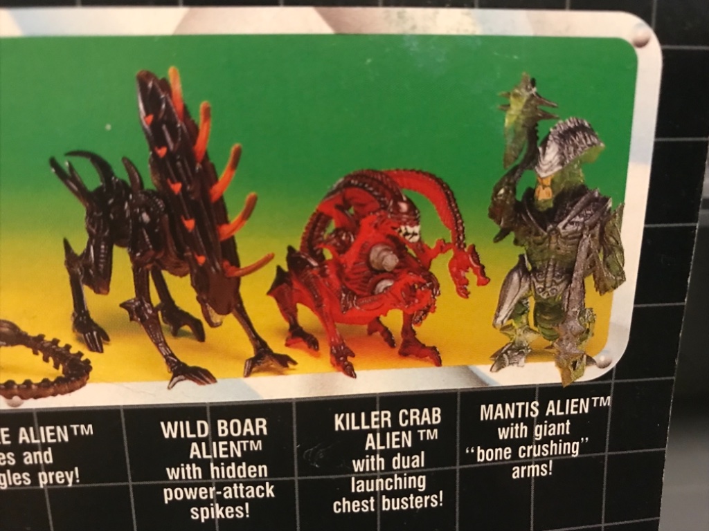 Wild Boar Alien  - Image 8