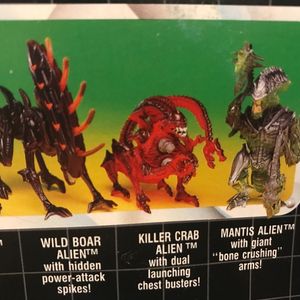 Wild Boar Alien 