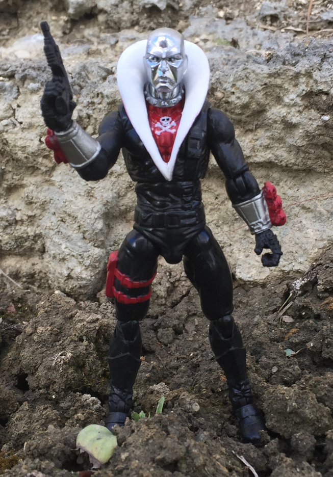 Red Jackal - Image 1
